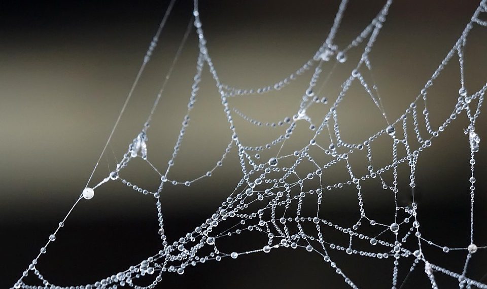 כיצד אירוח אתרים משפיע על הצלחת העסק הקטן שלך?