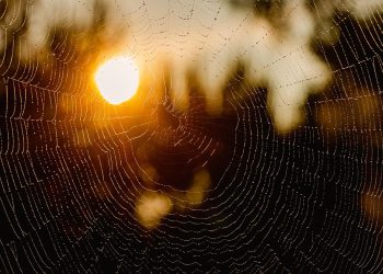 מה זה אירוח אתרים ואיך זה משפיע על העסק שלך?