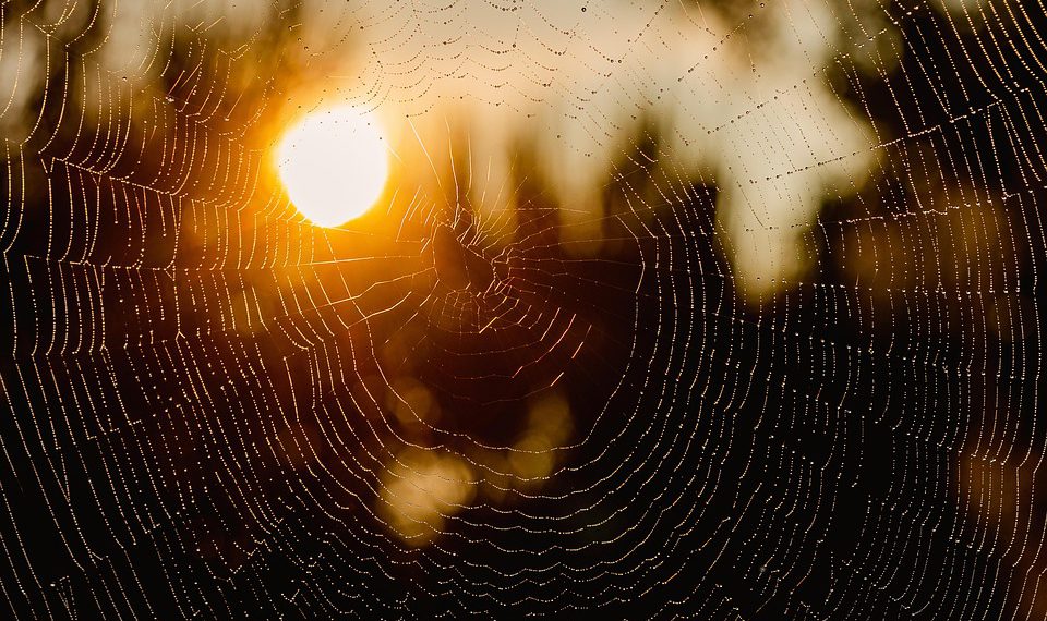 מה זה אירוח אתרים ואיך זה משפיע על העסק שלך?