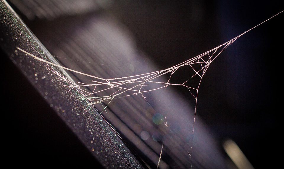 השוואה בין תוכניות HostGator: איזו מהן מתאימה לך?