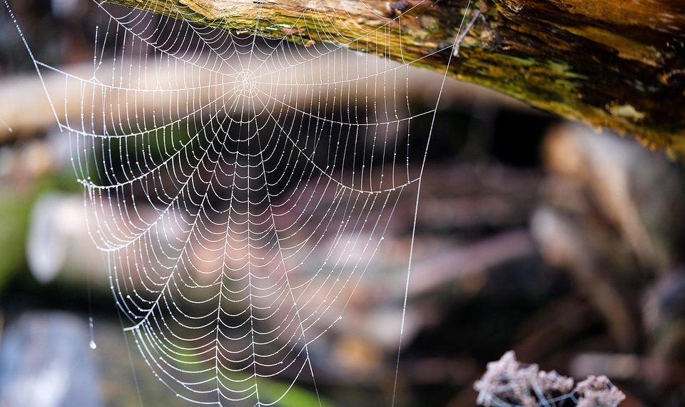 5 גורמים מרכזיים לבחירת חבילת אירוח אתרים לעסק שלך