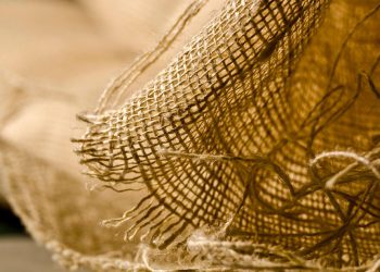 אירוח VPS של interserver: התערובת המושלמת של ביצועים ומחיר