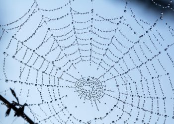 הכל על אירוח אתרים: מדריך שלב אחר שלב לבחירה נכונה