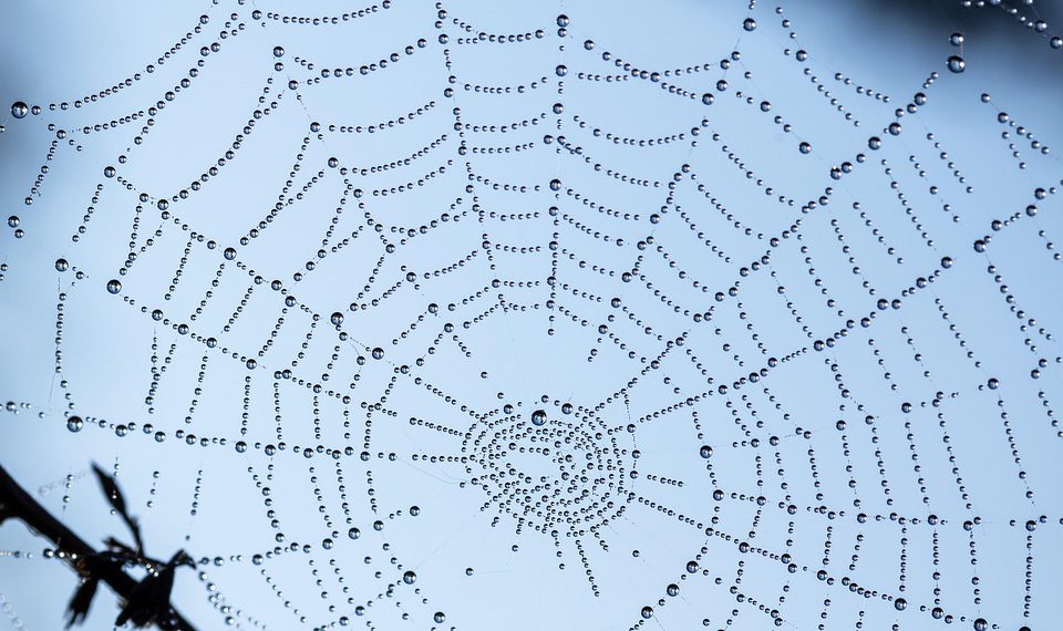 הכל על אירוח אתרים: מדריך שלב אחר שלב לבחירה נכונה