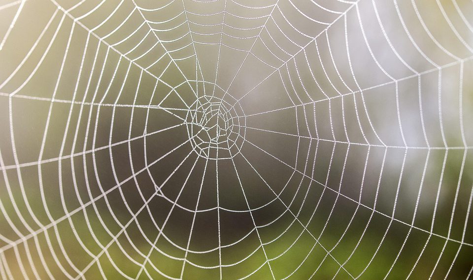 איך לבחור את שירות אירוח האתרים עם נפח בלתי מוגבל שמתאים לך?