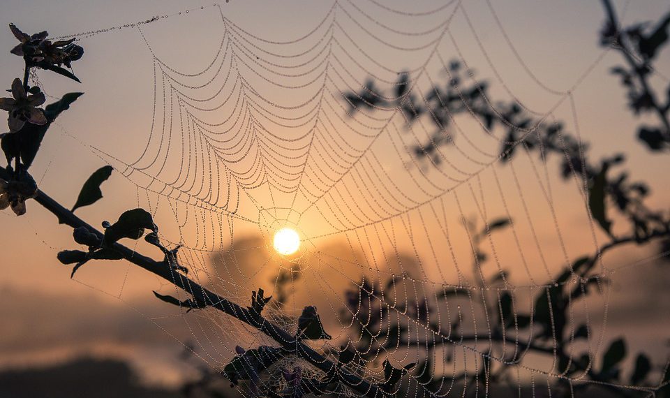 קנה מידה של העסק שלך בקלות: תכונות המפתח והיתרונות של Cloudways