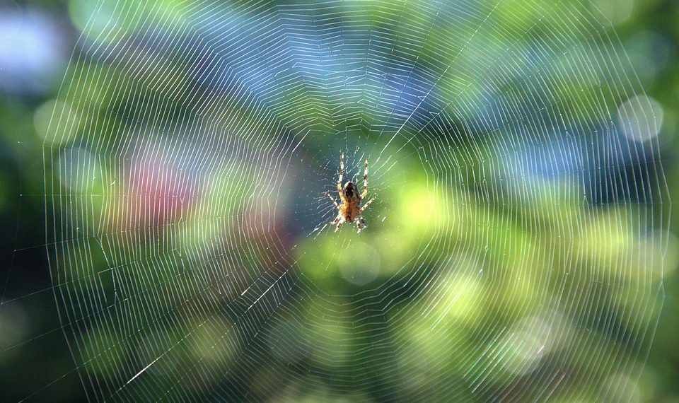 5 דברים שצריך לדעת לפני שמתחילים באירוח אתרים