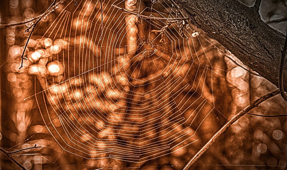 הדברים שצריך לדעת על אחסון אתרים עבור אתרי מסחר: טיפים ומדריכים