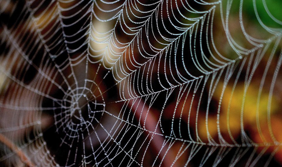 Siteground לעומת מתחרים: השוואה מקיפה לאירוח אתרים