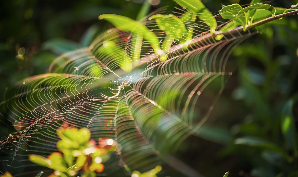 5 יתרונות מרכזיים של אירוח אתרים עם שירות לקוחות מעטפת מסביב לשעון