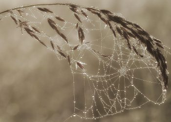 מה ההבדל בין סוגי חבילות אירוח אתרים וכיצד לבחור את הנכונה?