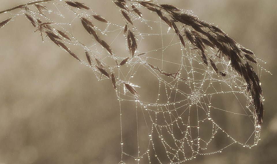 מה ההבדל בין סוגי חבילות אירוח אתרים וכיצד לבחור את הנכונה?