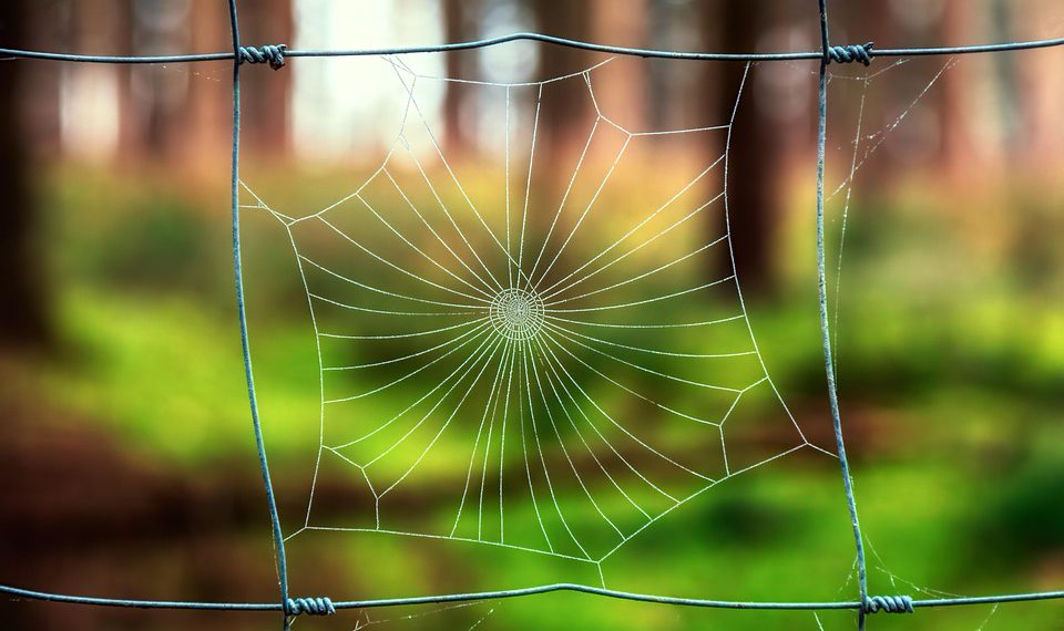 בחינת שירותי הענן של interserver: מדרגיות ואמינות בשילוב