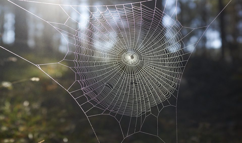 Hostinger לעומת מתחרים: איזה שירות אירוח אתרים שולט עליון?