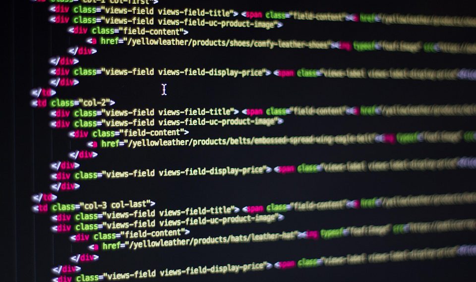 סיפורי הצלחה של לקוחות: כיצד מנוע WP העלה עסקים באופן מקוון