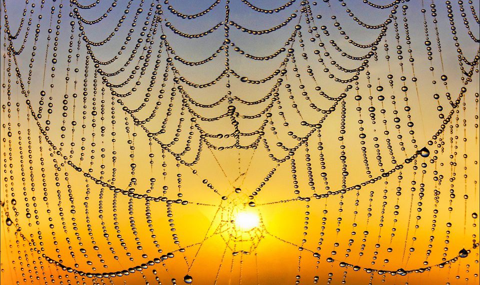 המדריך האולטימטיבי לתחילת העבודה עם Bluehost