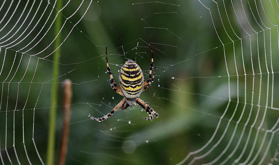 כיצד אירוח אתרים בישראל מתמודד עם אתגרים טכנולוגיים וצרכים מקומיים