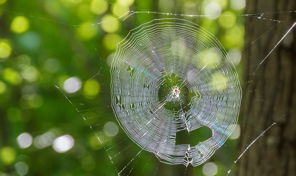 השוואת ספקי אירוח אתרים: מה חשוב לבדוק לפני הבחירה