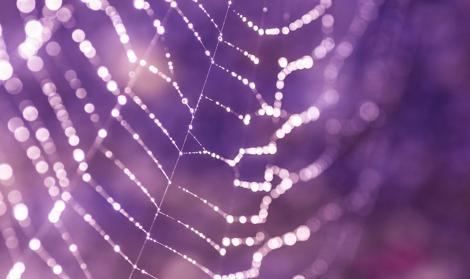 ביצועים, תמיכה, מחיר: 5 ספקי אירוח אתרים שהרשימו אותנו