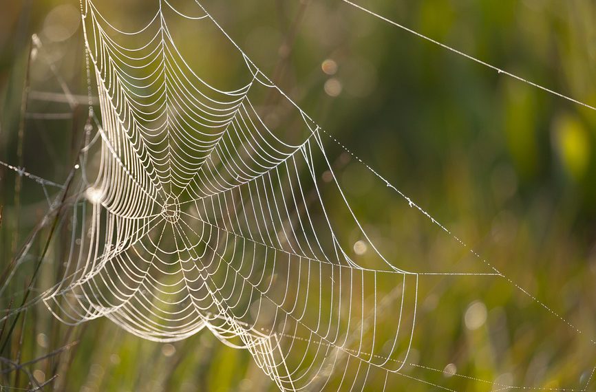 פיתוח אתרים בטוח: היתרונות של אחסון אתרים עם תמיכה ב-SSL