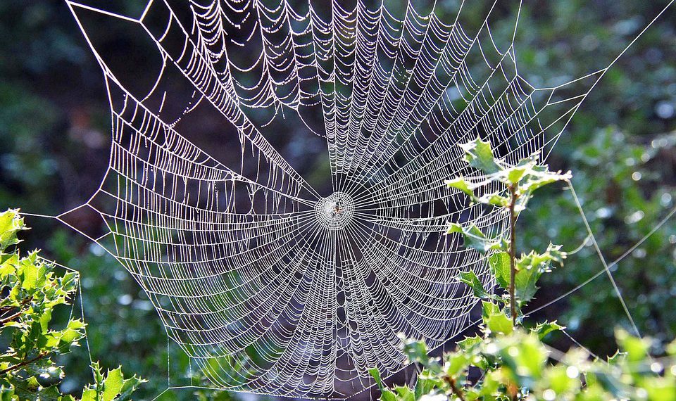 האם אירוח אתרים עם נפח בלתי מוגבל באמת משתלם? היתרונות והחסרונות