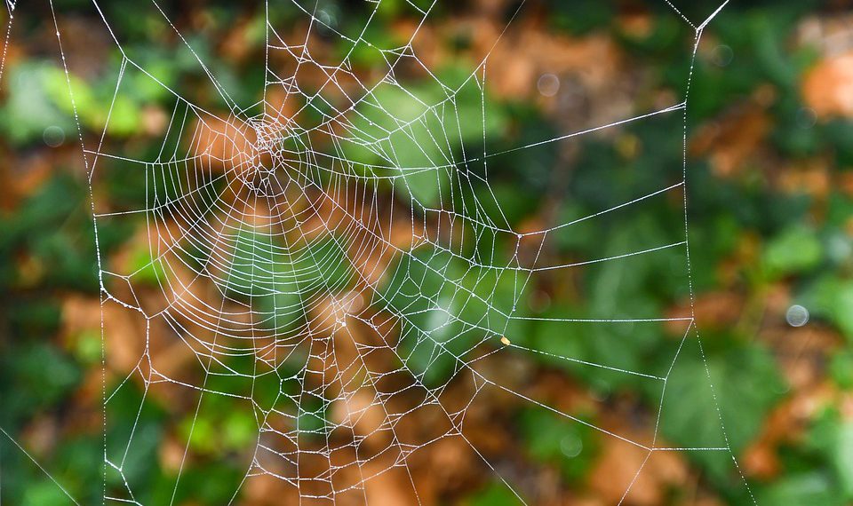 ניווט בעולם אירוח אתרים בינלאומי: מה שאתה צריך לדעת
