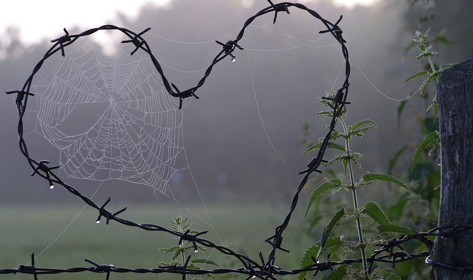 המדריך האולטימטיבי להעברת אתר האינטרנט שלך ל- Siteground