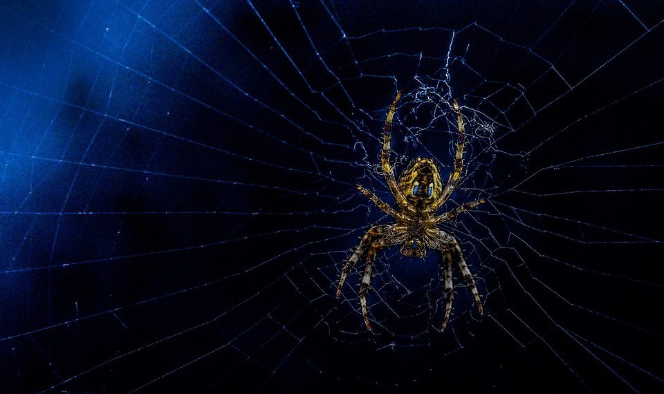 צלילה עמוקה ל- Cloudways: מה גורם לו להתבלט בשוק האירוח הצפוף?