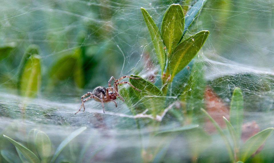 10 טיפים לאבטחת האתרים שלך עם שירותי אירוח מאובטח