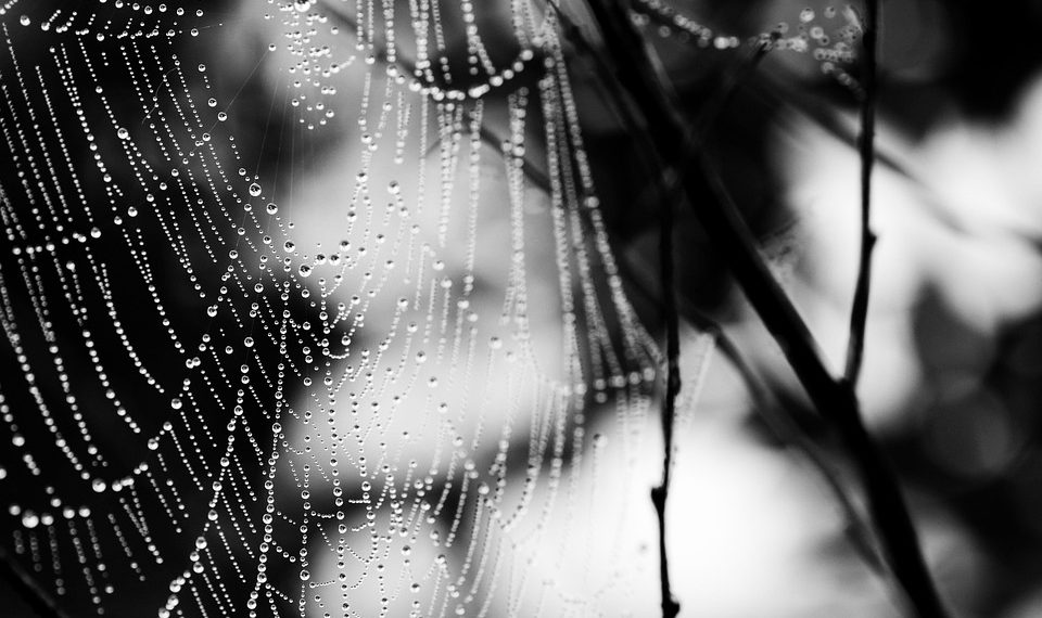 האם אירוח אתרים עם תמיכה 24/7 שווה את ההשקעה? כל מה שצריך לדעת!