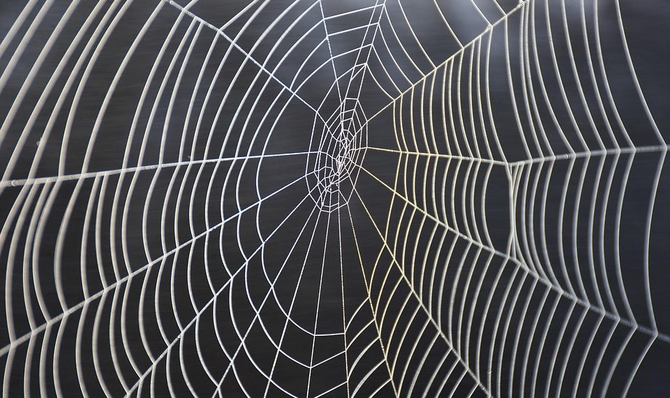 חוויות משתמש: מה הלקוחות אומרים על אירוח Inmotion