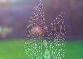 מאחורי הקלעים של אירוח אתרים בענן: טכנולוגיה שמניעה את העולם הדיגיטלי