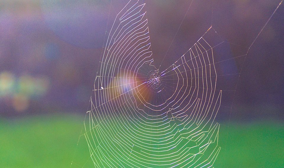 מאחורי הקלעים של אירוח אתרים בענן: טכנולוגיה שמניעה את העולם הדיגיטלי