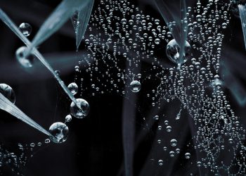 העתיד של אירוח אתרים בישראל: טכנולוגיות מתקדמות וטרנדים חדשים