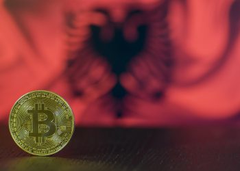 ערך מקסום: צלילה עמוקה לדגמי תמחור VPS