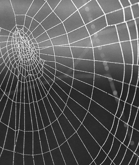 למקסם את הנוכחות המקוונת שלך: כיצד לייעל את האתר שלך באמצעות ipage