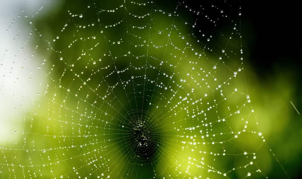 ענייני חוויית משתמש: מבט מעמיק על תמיכת הלקוחות של Hostinger