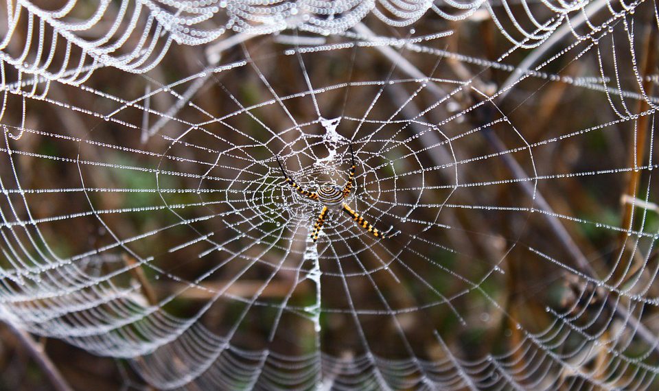 איך חבילות אירוח אתרים משפיעות על ביצועי האתר שלך?
