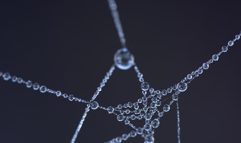 ניווט בתכונות: סקירה מקיפה של הצעות מנוע WP