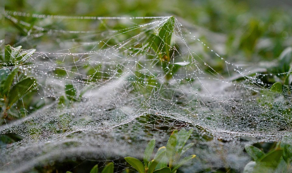 אירוח אתרים: מדריך השוואתי בין הפופולריים בשוק ואילו מהם הכי מתאימים לכם?