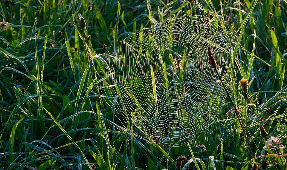 מהי ההשקעה הנכונה? השוואת עלויות בין שרת ייעודי לאירוח שיתופי