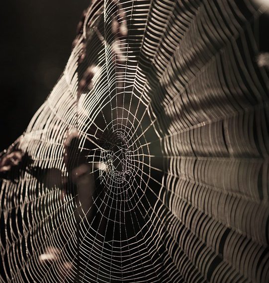 קינסטה מול מתחרים: השוואה זו לצד זו של שירותי אירוח מנוהלים