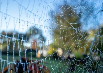 העידן החדש של אירוח אתרים: נפח בלתי מוגבל כסטנדרט שוק?