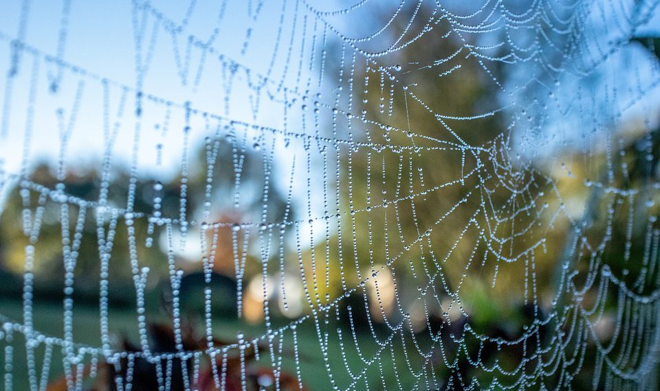 העידן החדש של אירוח אתרים: נפח בלתי מוגבל כסטנדרט שוק?