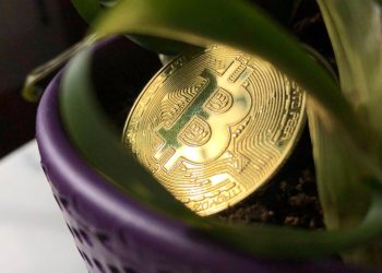 TOP 5 ספקי VPS מומלצים בפברואר 2023: בחירות חכמות לעסק שלך