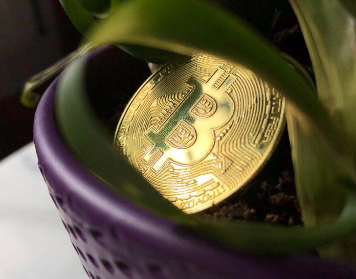 TOP 5 ספקי VPS מומלצים בפברואר 2023: בחירות חכמות לעסק שלך