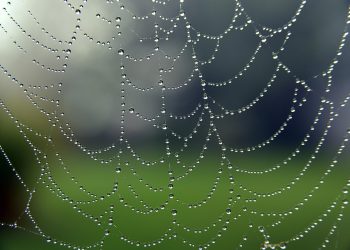 אירוח אתרים: תהליך חיוני לכל אתר אינטרנט