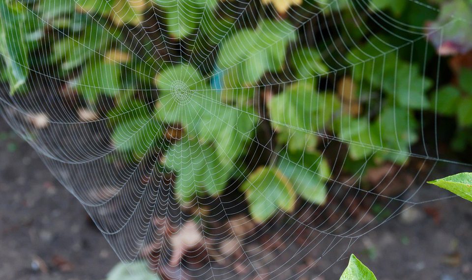 כשהנפח לא נגמר: כיצד לנצל את הפוטנציאל של אירוח אתרים ללא גבולות