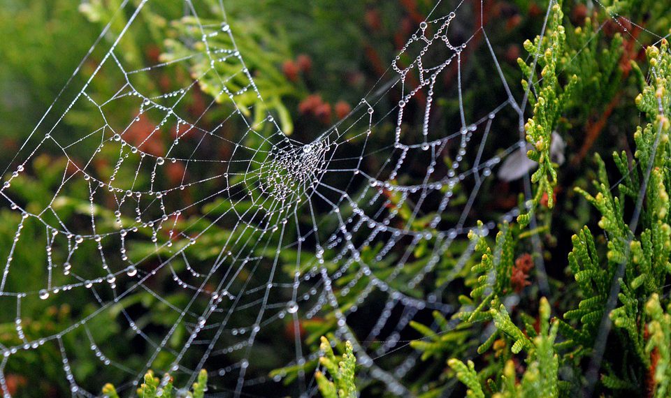 המדריך המלא לבחירת אירוח אתרים: מהם הפרמטרים שחשוב לבדוק?
