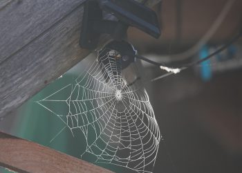 מדריך לאחסון אתרים מאובטח: כל מה שעליכם לדעת על SSL